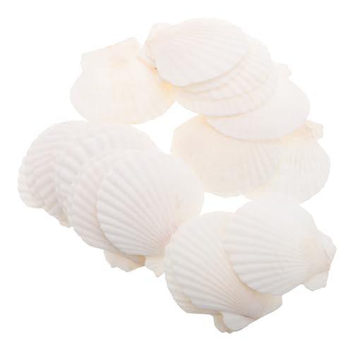 TOPPERFUN 21 Stück Muscheldekoration Schalen Für Das Handwerk Muscheln Zum Basteln Und Dekorieren DIY-Schale Muschelzubehör Muschelstütze Muscheln Basteln Weiß Hülse von TOPPERFUN