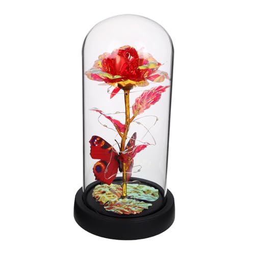 TOPPERFUN Ewige in Glaskuppel Mit Led-Lichterkette Romantische Dekorative Blumendekoration Mit Wunderschönen Lichtern Als Für Valentinstag Muttertag Und Besondere Anlässe TOPPERFUN Ewige in Glaskuppel Mit Led-Lichterkette Romantische Dekorative Blumendekoration Mit Wunderschönen Lichtern Als Für Valentinstag Muttertag Und Besondere Anlässe von TOPPERFUN