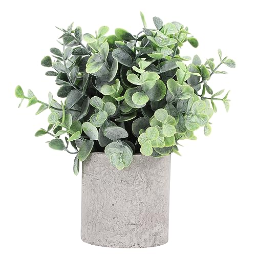 TOPPERFUN Künstliche Eukalyptus Pflanze Im Topf Dekoration Für Zuhause Und Büro Kunstpflanze Bonsai Pflegeleicht Lebendige Farben Langlebig Aus Kunststoff TOPPERFUN Künstliche Eukalyptus Pflanze Im Topf Dekoration Für Zuhause Und Büro Kunstpflanze Bonsai Pflegeleicht Lebendige Farben Langlebig Aus Kunststoff von TOPPERFUN