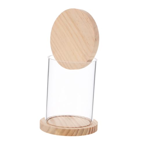 TOPPERFUN Miniaturen-vitrine Miniatur-aufbewahrungsbox Klarsichtvitrine Für Figuren Figurenständer -Display -hülle Figur Vitrine Mini-Tragetasche Acryl Beige TOPPERFUN Miniaturen-vitrine Miniatur-aufbewahrungsbox Klarsichtvitrine Für Figuren Figurenständer -Display -hülle Figur Vitrine Mini-Tragetasche Acryl Beige von TOPPERFUN