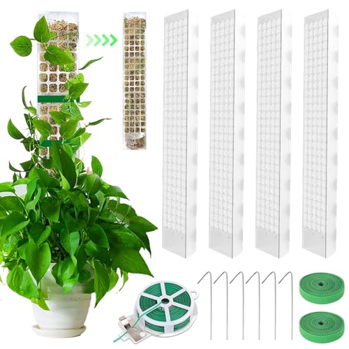 Rankhilfe Monstera,4 Stück 24 Zoll Moosstab für Monstera Kunststoff,Monstera Rankhilfe Plastik,Rankhilfe Zimmerpflanzen,Moosstab Rankhilfe,Moss Pole,Pflanzenstab Rankhilfe Für Monstera Rankhilfe Monstera,4 Stück 24 Zoll Moosstab für Monstera Kunststoff,Monstera Rankhilfe Plastik,Rankhilfe Zimmerpflanzen,Moosstab Rankhilfe,Moss Pole,Pflanzenstab Rankhilfe Für Monstera von TOPRUNYI
