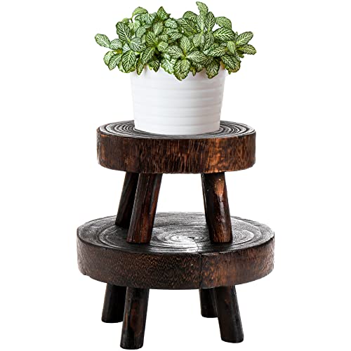 TOPZEA 2 Stück Mini Holz Hocker Display Ständer, Holz Riser Ständer für Bonsai, Blumentopf, Terrasse, Zuhause von TOPZEA