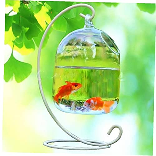 Aquarium Glasvase Fischglas Hängend Vase Aquarium Dekoration (Shelf) von TOSSPER