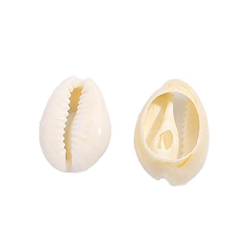50 Stücke Natürliche Spiralschale Perlen Strand Muscheln Löchern Für DIY Handwerk Schmuckherstellung Zubehör von TOSSPER
