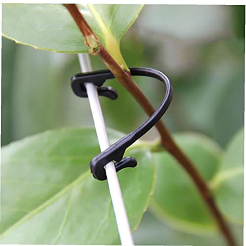 TOSSPER 50pcs Pflanze Reben Gebunden Buckle Garten Lasch Fester Haken Kunststoff Rankenpflanze Clips Für Landwirtschaftliche Gewächshäuser von TOSSPER