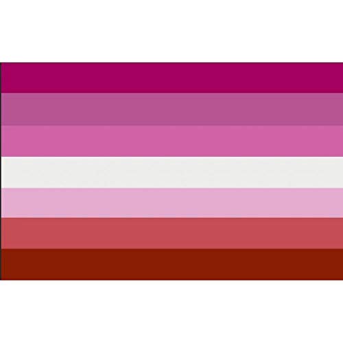 TOSSPER Lesbian Pride Flag Lesbian Geschenke | Lichtbeständige Farbstoff Für Vivid Color 100% Super-Polyester Material -Complete Set Stolz-Fahne 3 * 5 Ft von TOSSPER