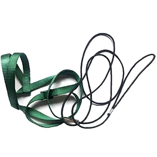 TOSSPER Parrot Geschirr-Leine Pet Vögel Im Freien Fliegen Traction Straps Vogel Einstellbare Anti-bite Ausbildung Seil TOSSPER Parrot Geschirr-Leine Pet Vögel Im Freien Fliegen Traction Straps Vogel Einstellbare Anti-bite Ausbildung Seil von TOSSPER