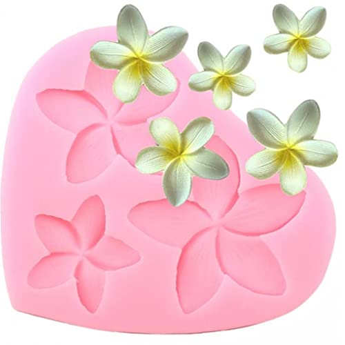 TOSSPER Plumeria-Blumen-silikon-Form-Hochzeit Kuchen, Die Werkzeuge Fondant Polymer Clay Praline-modellierung Tray TOSSPER Plumeria-Blumen-silikon-Form-Hochzeit Kuchen, Die Werkzeuge Fondant Polymer Clay Praline-modellierung Tray von TOSSPER