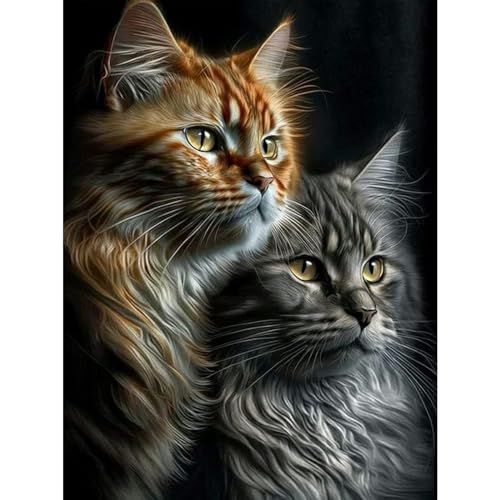 TOSTOG Diamond Painting für Erwachsene Anfänger,Diamant Painting Bilder Zwei Katzen 5D DIY Full Drill Diamant Malerei Stickerei Strass für Wand Heimdecor 30x40cm von TOSTOG