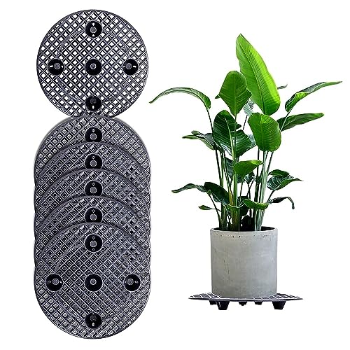 TOWEBOORY 6 Stück Topfpflanzenständer, Große Pflanzenständer Pflanzenebenentopf-Aufzug Runder Blumentopfhalter Blumentopfe Mesh Pads Blumentopfgitter Matten für Deck oder Terrasse (30cm) TOWEBOORY 6 Stück Topfpflanzenständer, Große Pflanzenständer Pflanzenebenentopf-Aufzug Runder Blumentopfhalter Blumentopfe Mesh Pads Blumentopfgitter Matten für Deck oder Terrasse (30cm) von TOWEBOORY