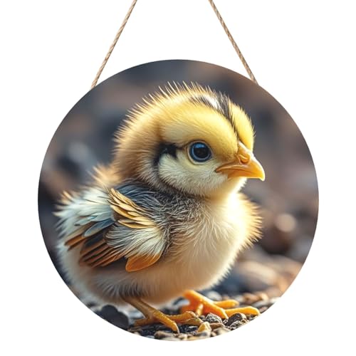 Door Sig Personalisiertes Willkommensschild, Holzschild für Haustür, Huhn, Küken, Holzschilder, unlackiertes Holzschild mit Schnur, Heimdekoration, Gartenschild für Garten, Hof Door Sig Personalisiertes Willkommensschild, Holzschild für Haustür, Huhn, Küken, Holzschilder, unlackiertes Holzschild mit Schnur, Heimdekoration, Gartenschild für Garten, Hof von TOXOCMDKLE