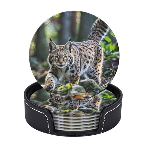 Getränkeuntersetzer mit Halter, Leder-Untersetzer für Getränke, Wildbobcat-Untersetzer, Tischschutz, Tassenmatte, Heimdekoration, Kaffeetassenmatte für Küche, Esszimmer, Couchtisch, 6 Stück von TOXOCMDKLE