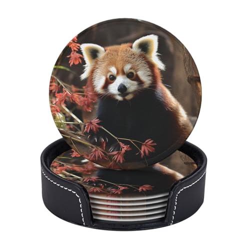 Getränkeuntersetzer mit Halter, Leder-Untersetzer für Getränke, rote Pandas, Tischschutz, Tassenmatte, Heimdekoration, Kaffeetassenmatte für Küche, Esszimmer, Couchtisch, 6 Stück von TOXOCMDKLE