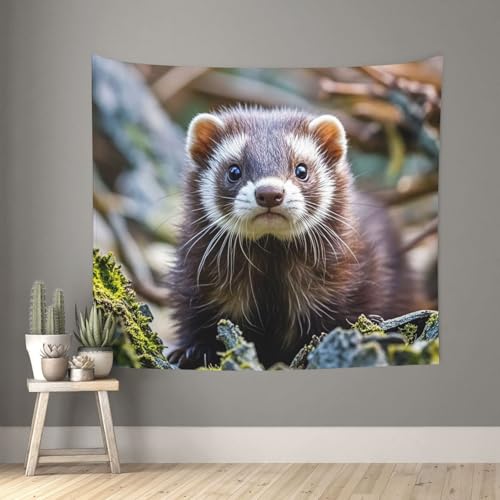 TOXOCMDKLE Ästhetischer Wandteppich, Wandteppich für Wohnzimmer, haariges Frettchen, Wandteppich, Heimdekoration, Decke, Wandkunst, Banner, Poster für Schlafzimmer, Wohnheim, 130 x 152 cm TOXOCMDKLE Ästhetischer Wandteppich, Wandteppich für Wohnzimmer, haariges Frettchen, Wandteppich, Heimdekoration, Decke, Wandkunst, Banner, Poster für Schlafzimmer, Wohnheim, 130 x 152 cm von TOXOCMDKLE