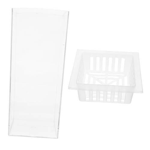 Hydroponic Aquarium Vase Transparent Layer Fischzuchtbehälter für Schreibtisch Behälter Mikrolandschaft für Home Office von TOYANDONA