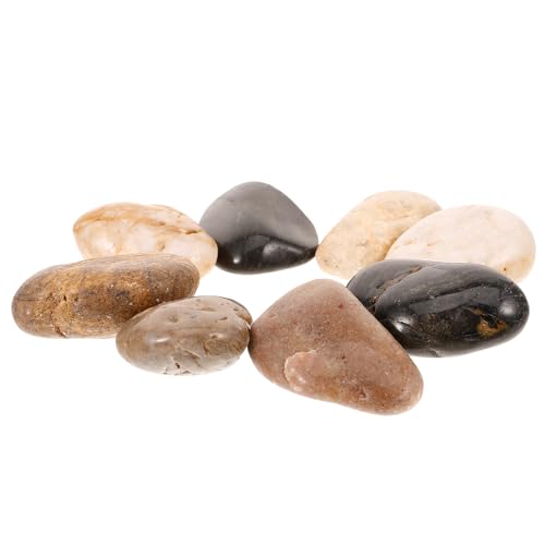 TOYANDONA 1 Satz Aquarium Kieselsteine Natürliche Regenbogen Pebbles für Aquarien Pflanzen und Große Polierte Steine für Garten und Deko TOYANDONA 1 Satz Aquarium Kieselsteine Natürliche Regenbogen Pebbles für Aquarien Pflanzen und Große Polierte Steine für Garten und Deko von TOYANDONA