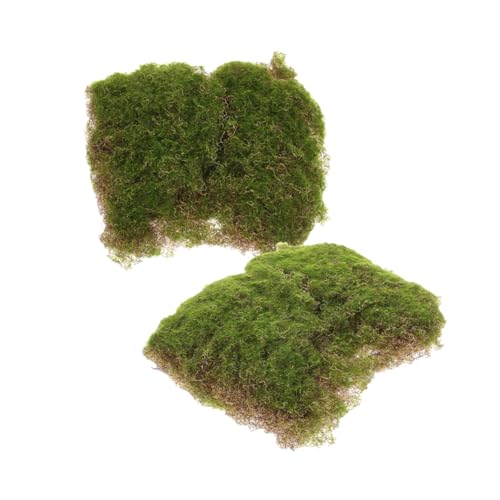 TOYANDONA 1 Satz Künstliche Grasmatte Realistische Dekoration Für Landschaften DIY Projekte Und Modellbau Strapazierfähig Vielseitig Einsetzbar Für Kreative Bastelarbeiten 2 Stück von TOYANDONA