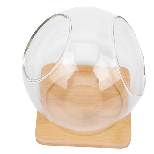 TOYANDONA 1 Satz Schiefglas Mikrolandschaftsflasche Pflanzenbehälter Hochwertigem für Moos DIY Projekte Unterlage Tischdeko und Geschenkidee TOYANDONA 1 Satz Schiefglas Mikrolandschaftsflasche Pflanzenbehälter Hochwertigem für Moos DIY Projekte Unterlage Tischdeko und Geschenkidee von TOYANDONA