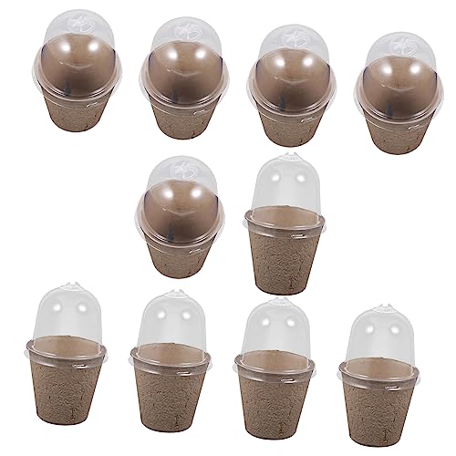 TOYANDONA 10 Stück Teiliges Abbaubare Pulp Anzuchttöpfe mit Blumenkübel für Sukkulenten und Gemüse für Garten und Innenräume TOYANDONA 10 Stück Teiliges Abbaubare Pulp Anzuchttöpfe mit Blumenkübel für Sukkulenten und Gemüse für Garten und Innenräume von TOYANDONA