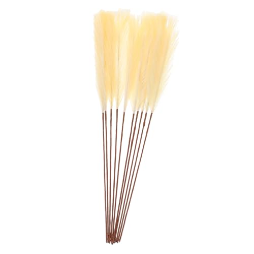 TOYANDONA 10 Stück Teiliges Getrocknete Künstliche Plumes Realistische Simulation Langlebige Hochzeits Wohnraumdekoration Pflegeleicht ohne Wasser für Basteln und Festliche Anlässe TOYANDONA 10 Stück Teiliges Getrocknete Künstliche Plumes Realistische Simulation Langlebige Hochzeits Wohnraumdekoration Pflegeleicht ohne Wasser für Basteln und Festliche Anlässe von TOYANDONA