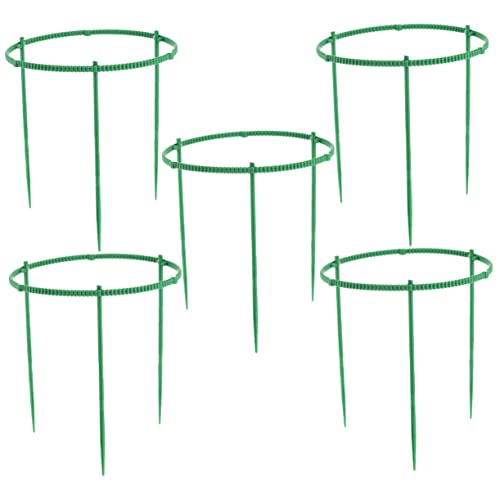 TOYANDONA 15Stücke Teiliges Pflanzenstützsystem Robustem Material Verstellbar für Gesunde Pflanzen für Kleine Töpfe und Gartenarbeiten Elegant und Praktisch Anwendung TOYANDONA 15Stücke Teiliges Pflanzenstützsystem Robustem Material Verstellbar für Gesunde Pflanzen für Kleine Töpfe und Gartenarbeiten Elegant und Praktisch Anwendung von TOYANDONA