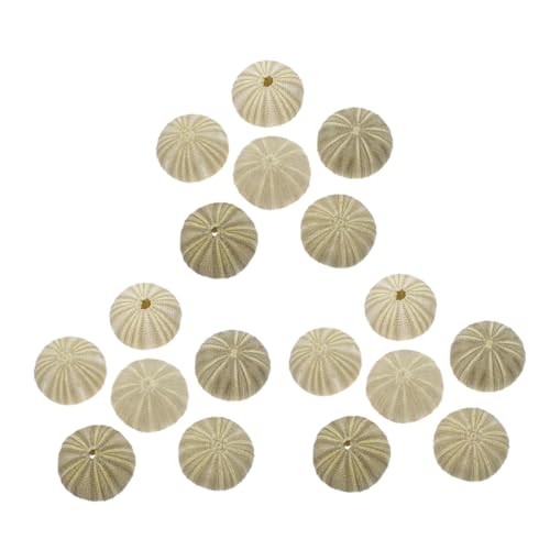 TOYANDONA 18 Stück Teiliges Natürliche Grüne Seeigelmuscheln Dekorative Vase Füller DIY Bastelmaterial Einzigartiger Aquarium Landschaftsschmuck Stilvolle Wohnraumdekoration TOYANDONA 18 Stück Teiliges Natürliche Grüne Seeigelmuscheln Dekorative Vase Füller DIY Bastelmaterial Einzigartiger Aquarium Landschaftsschmuck Stilvolle Wohnraumdekoration von TOYANDONA