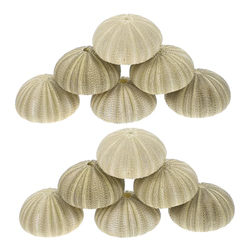 TOYANDONA 18 Stück Teiliges Natürliche Grüne Seeigelmuscheln für DIY Bastelprojekte Aquarium Dekoration Vielseitige Vase Füller und Einzigartige Wohnaccessoires TOYANDONA 18 Stück Teiliges Natürliche Grüne Seeigelmuscheln für DIY Bastelprojekte Aquarium Dekoration Vielseitige Vase Füller und Einzigartige Wohnaccessoires von TOYANDONA
