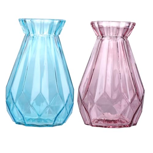 TOYANDONA 2 Stück 2 teiliges buntes Glasvasen Set transparente künstlerische Blumenhalter in Blau und Violett stilvolle Tischdekoration für frische und künstliche Blumen langlebig und von TOYANDONA
