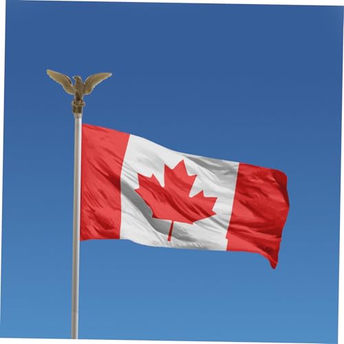 TOYANDONA 2 Stück Fahnenmast Adler Flaggenmast Spitze Outdoor Flagpole Head Topper Garten Dekoration Adlerdesign Verhindert Verheddern der Flagge von TOYANDONA