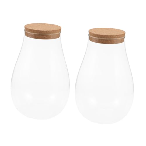 TOYANDONA 2 Stück Glasflasche für Terrarium Dekorative Flasche mit Korken für Landschaften Zimmerpflanzen und Kreative Dekoideen TOYANDONA 2 Stück Glasflasche für Terrarium Dekorative Flasche mit Korken für Landschaften Zimmerpflanzen und Kreative Dekoideen von TOYANDONA