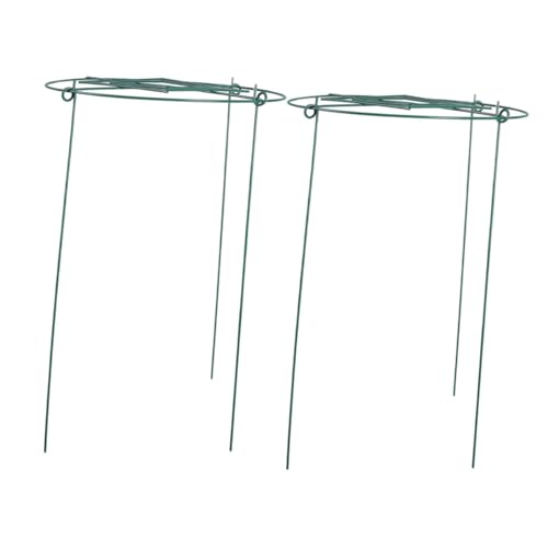 TOYANDONA 2 Stück Metall Rankgitter Pflanzstütze Kletterpflanzen Gartenrost Robust Wetterfest Für Pfingstrosen Weinreben und Kletterpflanzen Außenbereich von TOYANDONA