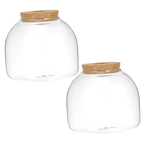 TOYANDONA 2 Stück Teiliges Micro Landscape Ökoflaschen aus Klarem Glas Dekorative Ökologische Flaschen mit Korkstopfen Kompakt Transparent für Mooslandschaften und DIY Mikrohabitate TOYANDONA 2 Stück Teiliges Micro Landscape Ökoflaschen aus Klarem Glas Dekorative Ökologische Flaschen mit Korkstopfen Kompakt Transparent für Mooslandschaften und DIY Mikrohabitate von TOYANDONA