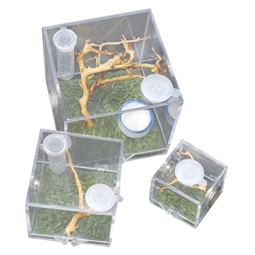TOYANDONA 3 Stück Teiliges Transparente Spritzenzuchtbox für Springspinnen Insektenbox mit Futteröffnung und Praktischem Design für Zuhause oder Büro TOYANDONA 3 Stück Teiliges Transparente Spritzenzuchtbox für Springspinnen Insektenbox mit Futteröffnung und Praktischem Design für Zuhause oder Büro von TOYANDONA