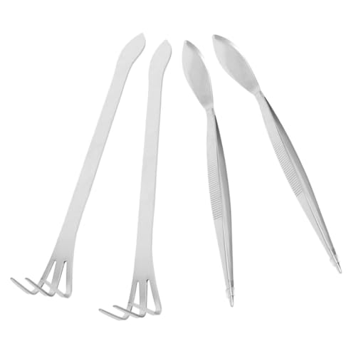 TOYANDONA 4 Stück Teiliges Bonsai Werkzeugset Lange Zange Rake Spatel für Gartenpflege Aquarien und Terrarien für Sukkulenten und Bonsai Pflege TOYANDONA 4 Stück Teiliges Bonsai Werkzeugset Lange Zange Rake Spatel für Gartenpflege Aquarien und Terrarien für Sukkulenten und Bonsai Pflege von TOYANDONA