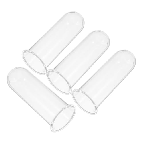 TOYANDONA 4 Stück Teiliges Glas Hydroponik Pflanzröhrchen Transparente Vermehrungsröhren für Wasserpflanzen Kleine Terrarium Vase Platzsparend Robust und Elegant für Zimmerpflanzen TOYANDONA 4 Stück Teiliges Glas Hydroponik Pflanzröhrchen Transparente Vermehrungsröhren für Wasserpflanzen Kleine Terrarium Vase Platzsparend Robust und Elegant für Zimmerpflanzen von TOYANDONA
