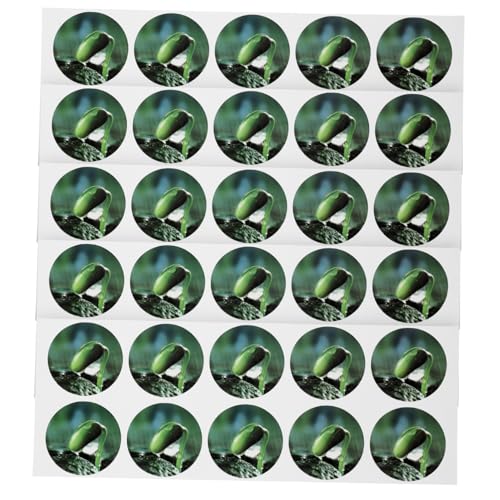 TOYANDONA 5 Blätter Selbstklebende Pflanzetiketten aus PVC Wasserfest Langlebig Großformatige Samen topf Aufkleber für Gartenpflanzen Gewächshaus Anzucht zum Beschriften und Markieren von TOYANDONA 5 Blätter Selbstklebende Pflanzetiketten aus PVC Wasserfest Langlebig Großformatige Samen topf Aufkleber für Gartenpflanzen Gewächshaus Anzucht zum Beschriften und Markieren von von TOYANDONA