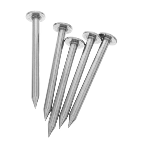 TOYANDONA 5 Stück Teiliges Vermessungsnägel Robuste Garten Stahlnägel Flacher Kopf Präzise Markierungsnägel für Vermessung Beobachtung und Niveaupunkte Wiederverwendbar Tragbar von TOYANDONA