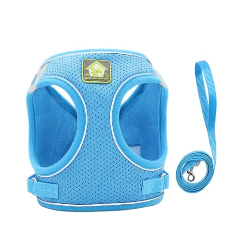 TOYANDONA Atmungsaktives Hundegeschirr Set mit Weste und Reflektierender Leine Verstellbar Leicht Strapazierfähig für Kleine Hunde Blau S für Outdoor Spaziergänge und Nachtbeobachtung TOYANDONA Atmungsaktives Hundegeschirr Set mit Weste und Reflektierender Leine Verstellbar Leicht Strapazierfähig für Kleine Hunde Blau S für Outdoor Spaziergänge und Nachtbeobachtung von TOYANDONA