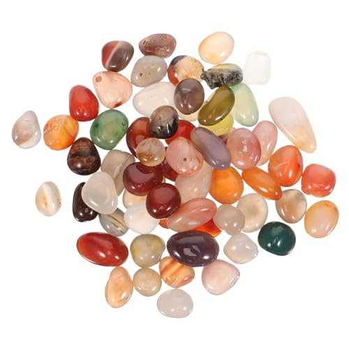 TOYANDONA Kieselsteine Für Blumentöpfe Und Aquarien Dekorative Garten Und Wassergartensteine Füller Für Vasen Und Pflanzgefäße Verschiedene Formen Und Farben Für Gartengestaltung von TOYANDONA