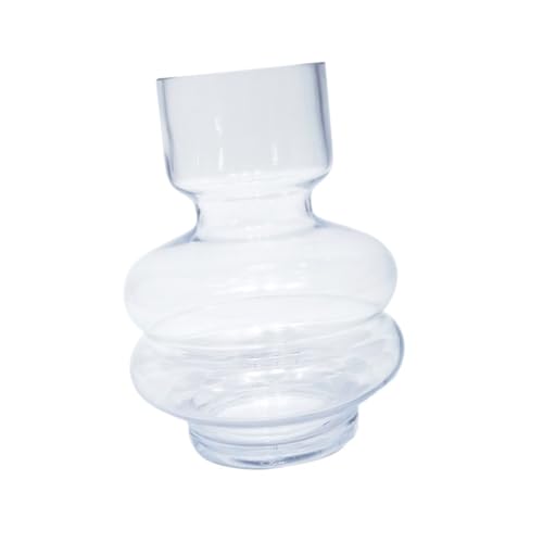 TOYANDONA Glasvase Transparent Nordisch Stil Hydroponische Blumen Vase Dekorative Kleine Pflanzflasche Für Büro Wohnzimmer Tischdeko von TOYANDONA