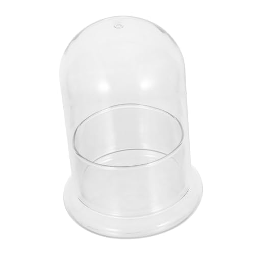 TOYANDONA Hydroponisches Glas-Terrarium Ø Transparente DIY für Moosbasierte Pflanzenvermehrung Platzsparend für Schreibtisch und Kleine Räume Pflegeleicht ohne Erde TOYANDONA Hydroponisches Glas-Terrarium Ø Transparente DIY für Moosbasierte Pflanzenvermehrung Platzsparend für Schreibtisch und Kleine Räume Pflegeleicht ohne Erde von TOYANDONA