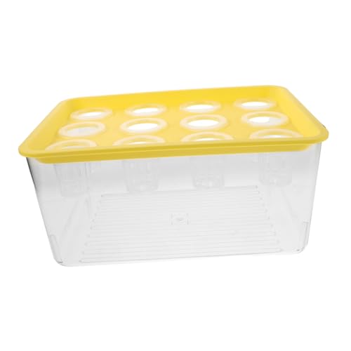 TOYANDONA Hydroponisches Mini Aquarium mit Deckel Ökologischer Goldfisch und Pflanzen Glasbehälter Platzsparendes Desktop Garten System für Wohnzimmer und Büro TOYANDONA Hydroponisches Mini Aquarium mit Deckel Ökologischer Goldfisch und Pflanzen Glasbehälter Platzsparendes Desktop Garten System für Wohnzimmer und Büro von TOYANDONA