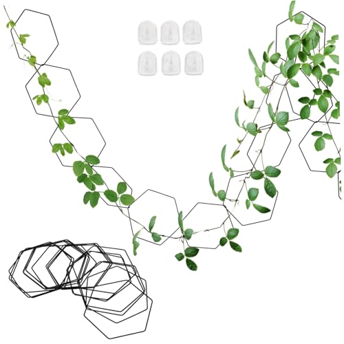 TOYANDONA Kettenspalier für Kletterpflanzen Robustes Metall Rankgitter mit Ringen und Wandhaken Verstellbare Rankhilfe für Zimmerpflanzen Balkon Garten Vielseitige Pflanzstütze für Gesundes von TOYANDONA