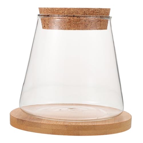 TOYANDONA Kompaktes Klares Glas Fischglas mit Holzdeckel und Bambusmatte Kleines Hydroponik Terrarium für Schreibtisch Dekorative Pflanzenvase und Betta Aquarium Langlebig und Pflegeleicht von TOYANDONA
