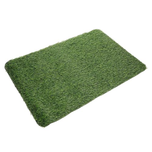 TOYANDONA Künstliche Gras Fußmatte Rutschfeste Wetterfeste Türmatte für Außenbereich Vielseitig Einsetzbar als Eingangs oder Haustiermatte für Rustikale und Moderne Dekore TOYANDONA Künstliche Gras Fußmatte Rutschfeste Wetterfeste Türmatte für Außenbereich Vielseitig Einsetzbar als Eingangs oder Haustiermatte für Rustikale und Moderne Dekore von TOYANDONA
