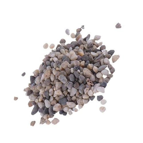 TOYANDONA Microlandscape Natursteinset Bunte Flusskiesel Kleine Deko Steine Vielseitig für Moosflaschen Garten Aquarium Terrarien und Bastelprojekte Geeignet von TOYANDONA