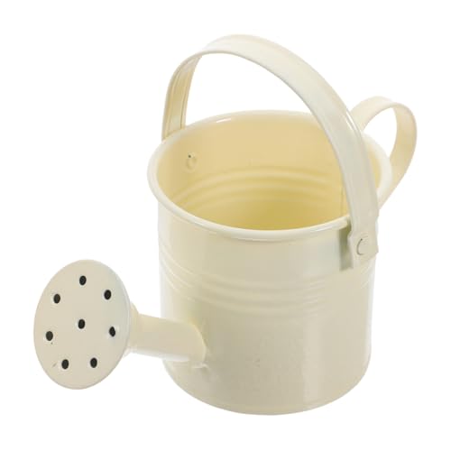 TOYANDONA Mini Gießkanne mit Praktischem Griff Leichte Kreative Blumengießkanne für Sukkulenten Handlich und Tragbar für Zimmerpflanzen und Gartenpflege Zuhause Sowie Büro TOYANDONA Mini Gießkanne mit Praktischem Griff Leichte Kreative Blumengießkanne für Sukkulenten Handlich und Tragbar für Zimmerpflanzen und Gartenpflege Zuhause Sowie Büro von TOYANDONA