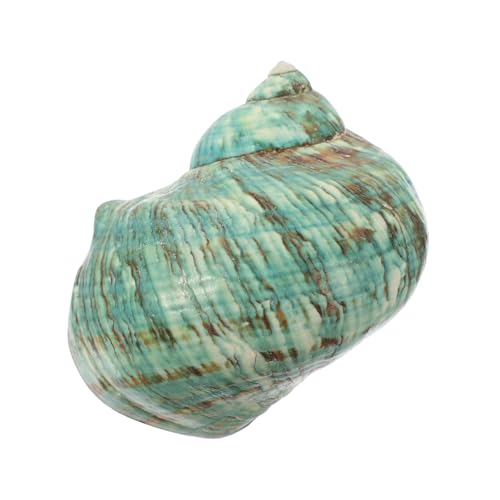 TOYANDONA Natürliche Große Grüne Meeresschnecken Dekoration aus Muscheln Handgefertigtes Aquarium Ornament Sicher für Fische für Vase Strand Meeres themenpartys TOYANDONA Natürliche Große Grüne Meeresschnecken Dekoration aus Muscheln Handgefertigtes Aquarium Ornament Sicher für Fische für Vase Strand Meeres themenpartys von TOYANDONA