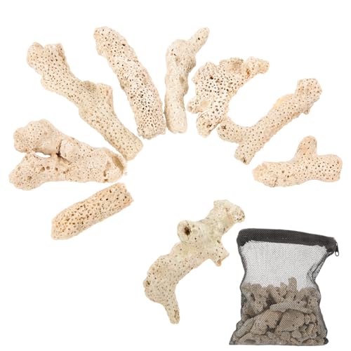 TOYANDONA Natürliche Korallenknochen Filtermedien für Aquarium und Teich Grobkörniger Bodensubstrat Effektive Wasserreinigung Wiederverwendbar mit Schwarzem Netzbeutel Klareres Wasser für von TOYANDONA