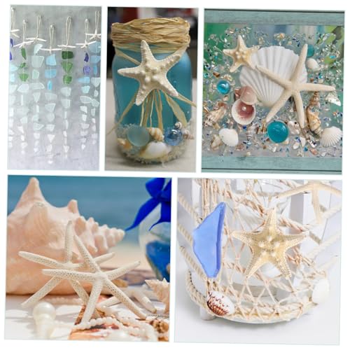 TOYANDONA Natürliche Meeresglas Deko mit Sternen und Glas Authentische Strandstücke für Vasen Aquarium Strand Tischdeko Dekoration für Entspannte Meeres Atmosphäre von TOYANDONA